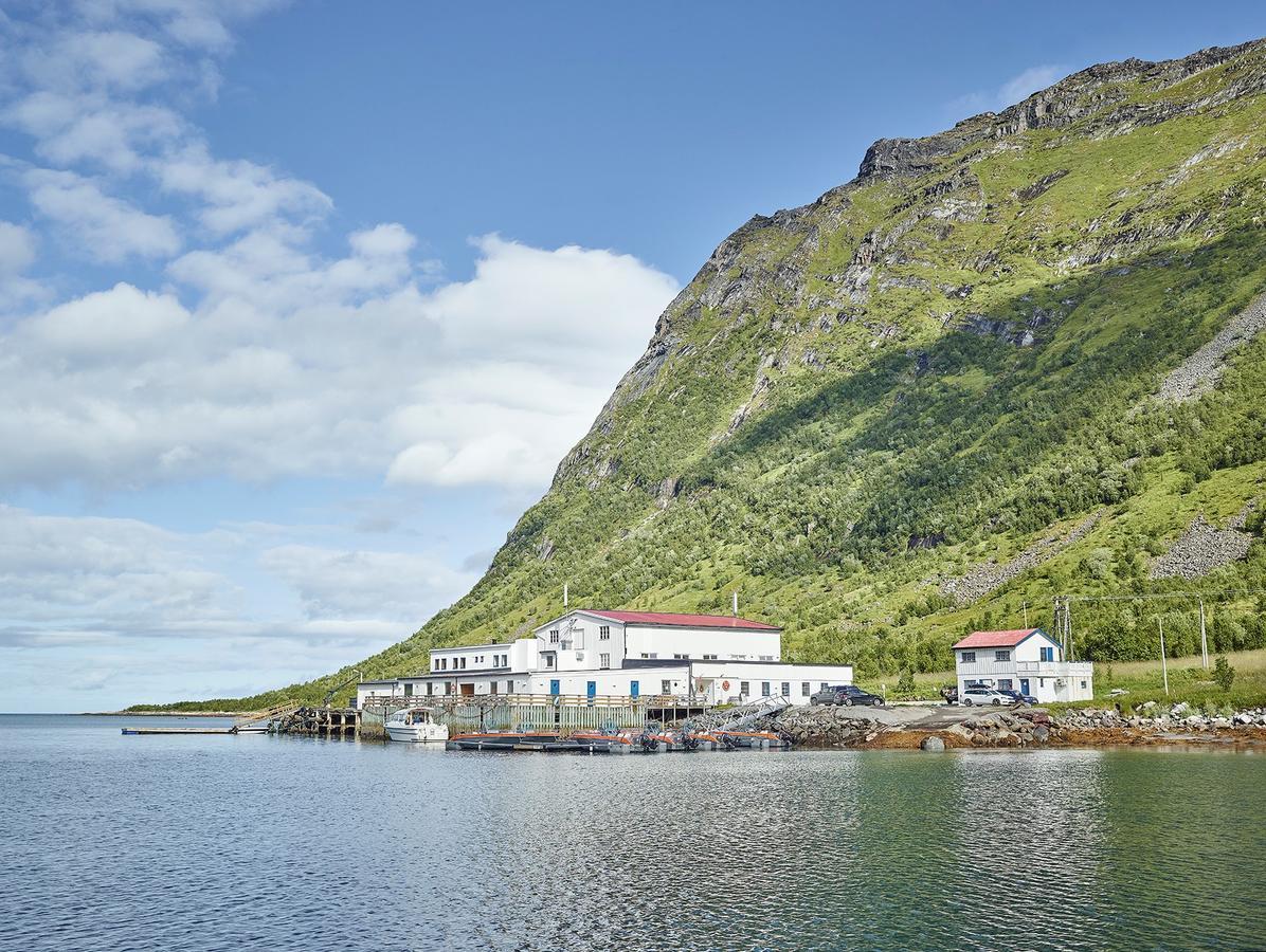 Northern Light Hotell/Camp Steinfjord Berg  Luaran gambar
