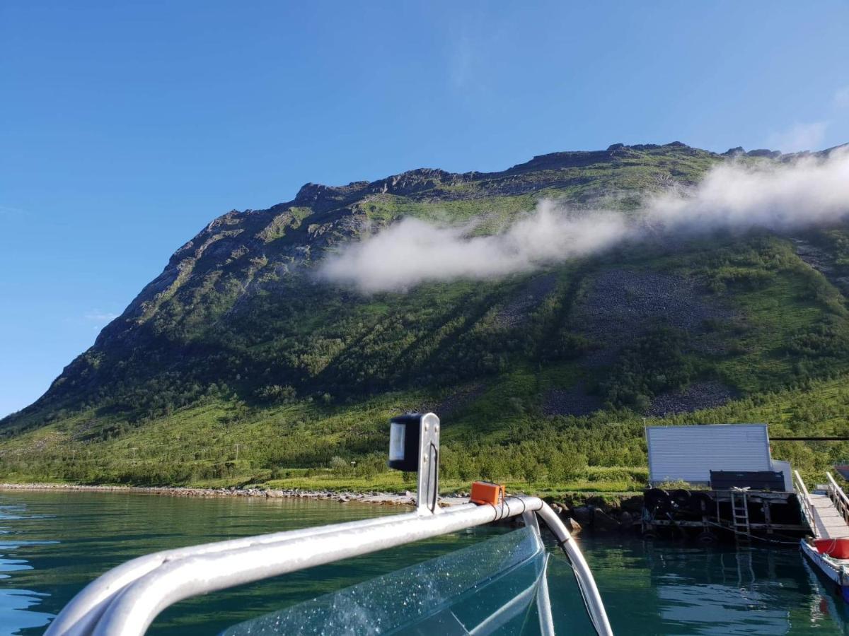 Northern Light Hotell/Camp Steinfjord Berg  Luaran gambar