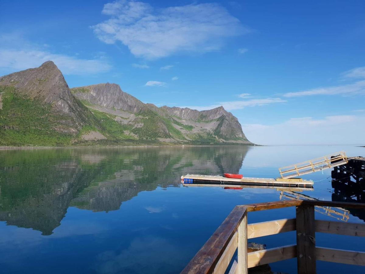 Northern Light Hotell/Camp Steinfjord Berg  Luaran gambar